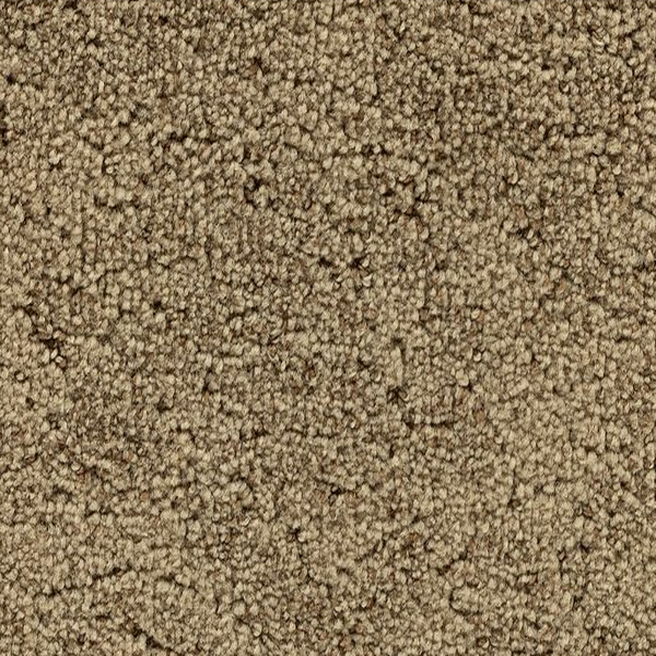 Godfrey Hirst Carpets Inspiring Selection Earthen GODFREY HIRST