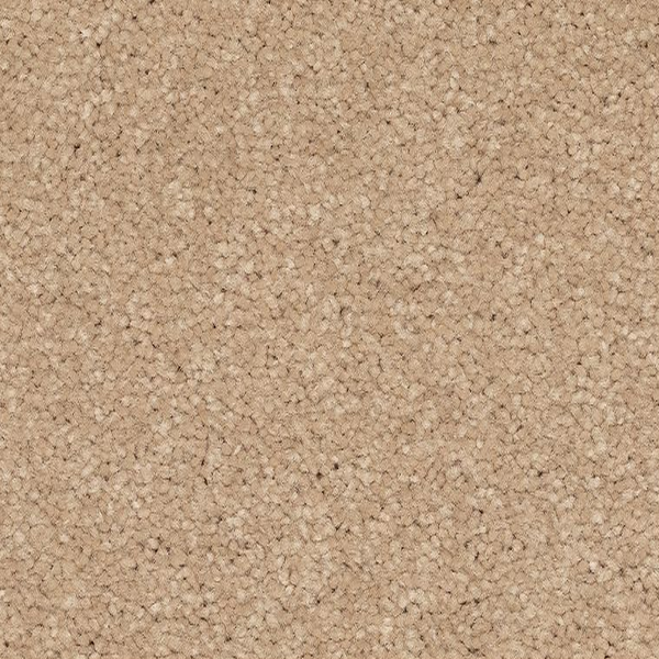 Mohawk Carpet Quality Feeling Tradition Mohawk