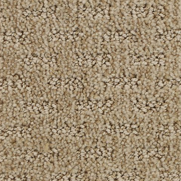 Horizon Carpet Stylish Tones Chiffon Mohawk