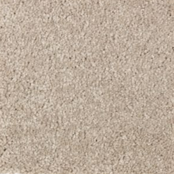 Mohawk Carpet Elegant Appeal III Outback Mohawk