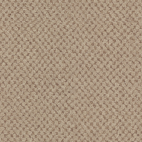 Masland Carpets La Parade Parquet Masland