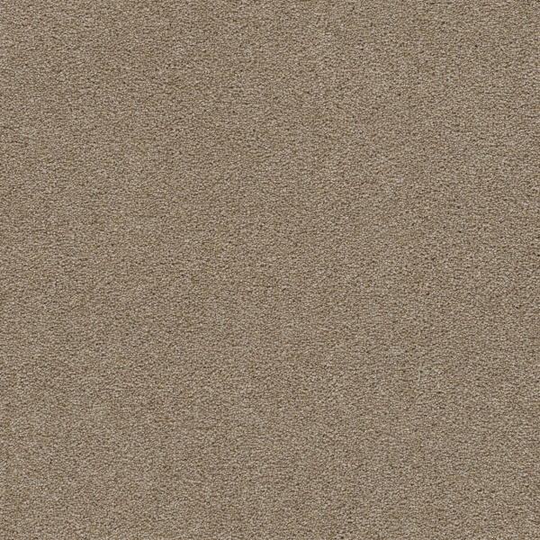 Dreamweaver Carpet Rock Solid I Fox Trail DREAMWEAVER