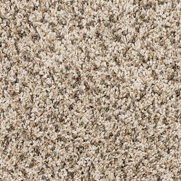 Mohawk Carpet Diffurent Choice III Frosty Spice Mohawk