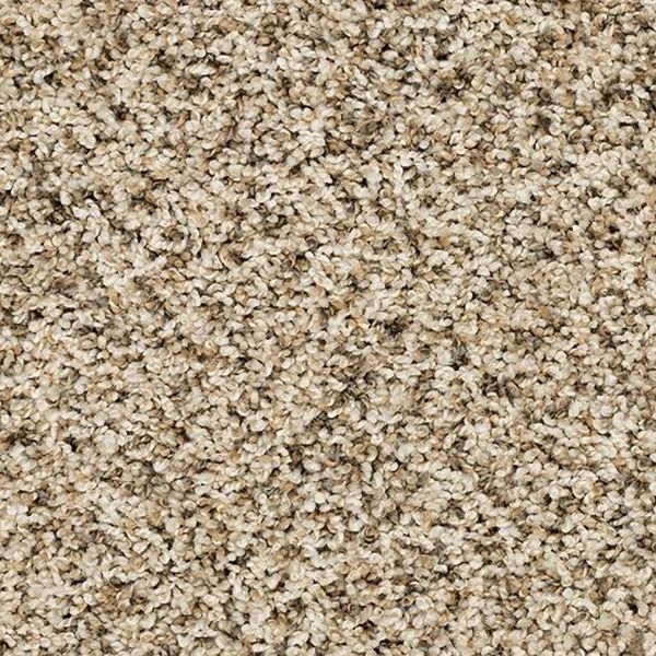 Mohawk Carpet Purrsonality II Frosty Spice Mohawk