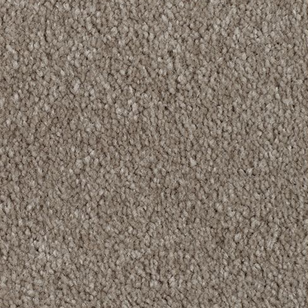 Mohawk Carpet Classical Design II 12' Wool Socks Mohawk