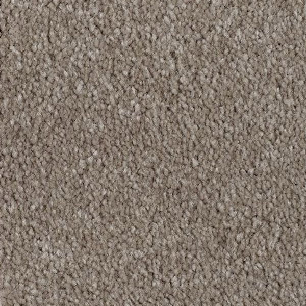 Mohawk Carpet Classical Design I 12' Wool Socks Mohawk