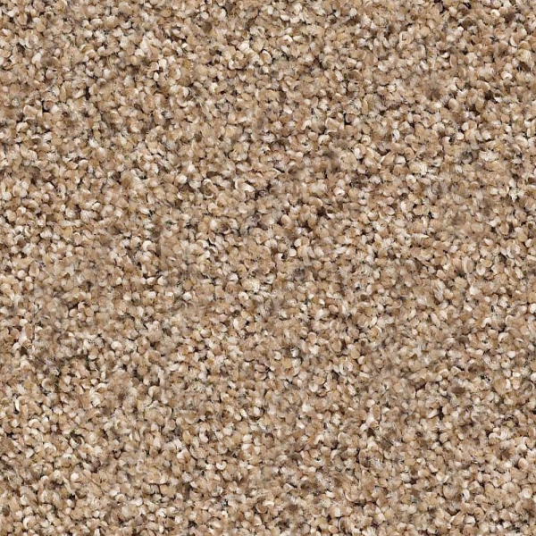 Shaw Floors Abilene II Arrowhead SHAW