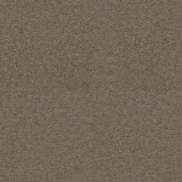 Dreamweaver Carpet Exceptional II Tigris DREAMWEAVER