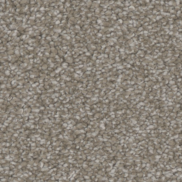 Tarkett Home Carpets Allure Engage LEXMARK