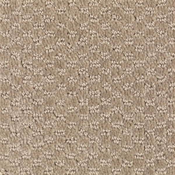 Mohawk Carpet Dynamo French Toast Mohawk