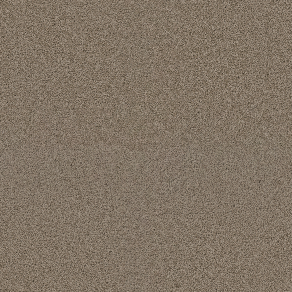 Dreamweaver Carpet Exceptional II Hazelnut Cream DREAMWEAVER