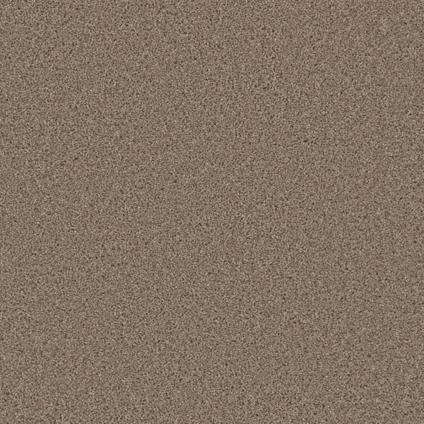 Dreamweaver Carpet Metropolitan II Mocha DREAMWEAVER