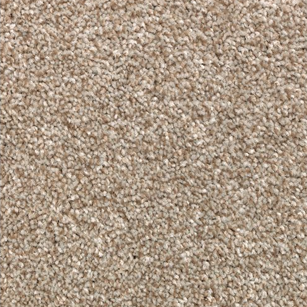 Mohawk Carpet True Harmony Shadywood Mohawk