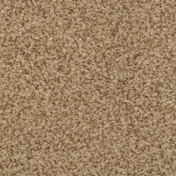 Dixie Home Chromatic Touch Tribeca