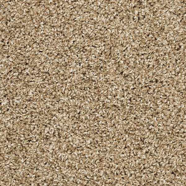 Mohawk Carpet Diffurent Choice I Harmony Mohawk