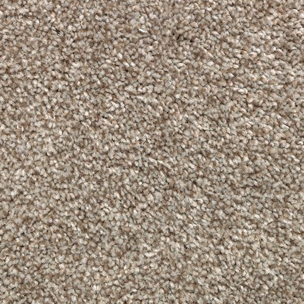 Mohawk Carpet True Harmony Dakota Mohawk