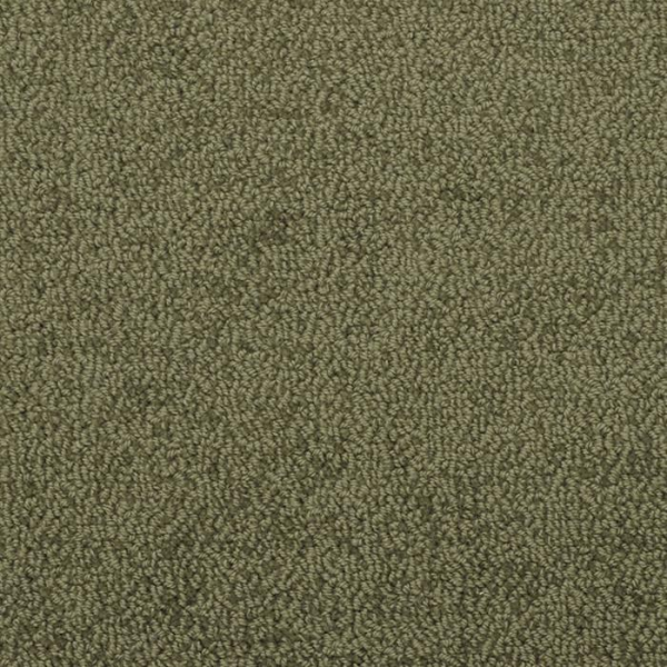 Masland Carpets Novellino Spruce Masland