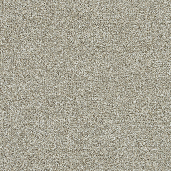 Dreamweaver Carpet Clearwater II Barnwood DREAMWEAVER