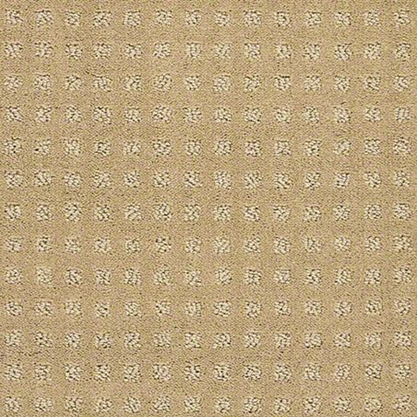 Shaw Floors Alluring Disposition Warmth SHAW