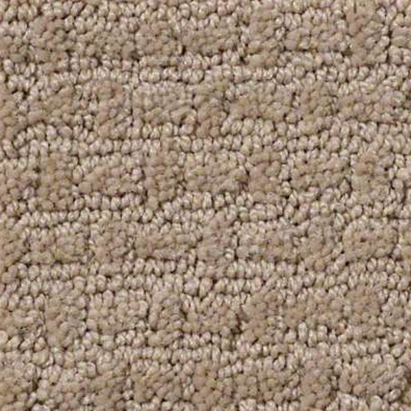 Shaw Floors Complete Control Biscotti SHAW