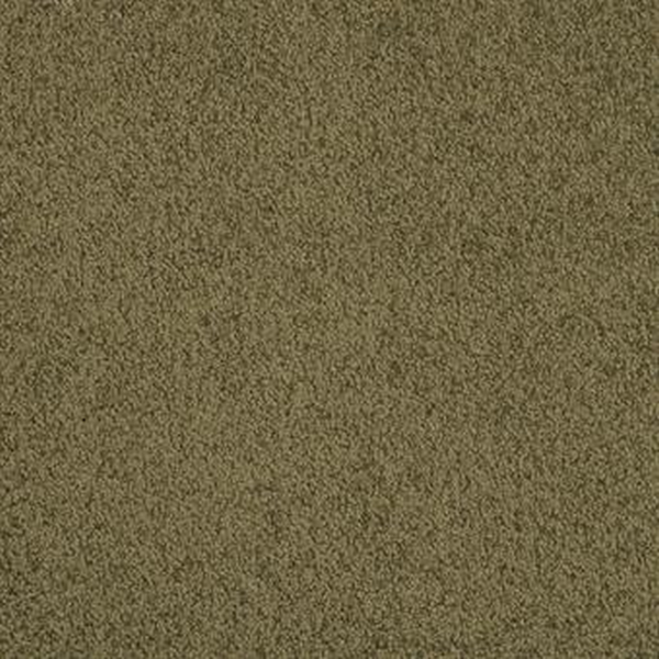 Masland Carpets Americana Adirondack Masland