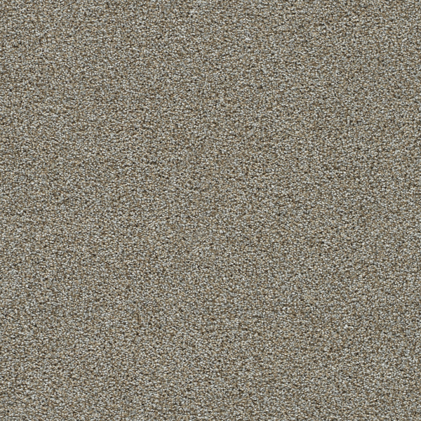 Dreamweaver Carpet Clearwater III Iron Gate DREAMWEAVER