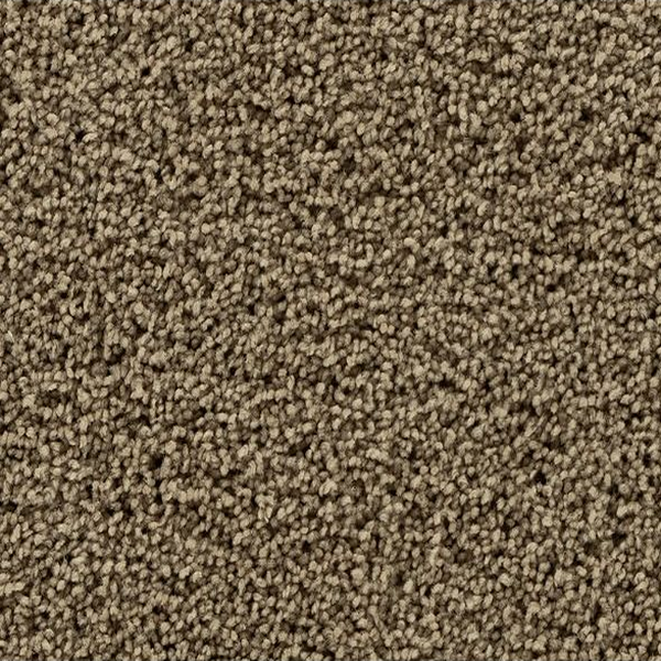 Mohawk Carpet Gentle Path Tender Moment Mohawk