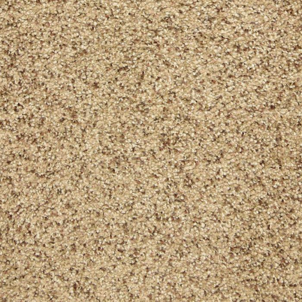 Masland Carpets This and That Color Point Masland