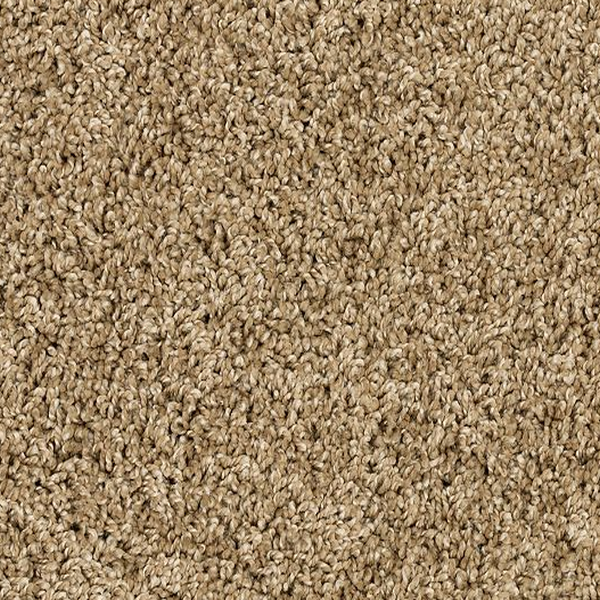 Mohawk Carpet Purrsonality I Parchment Mohawk