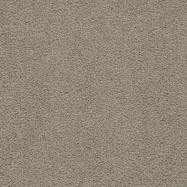 Dreamweaver Carpet Clear Skies I French Oak DREAMWEAVER