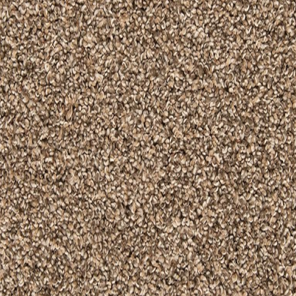 Mohawk Carpet Color Classics II Mystic Wood Mohawk