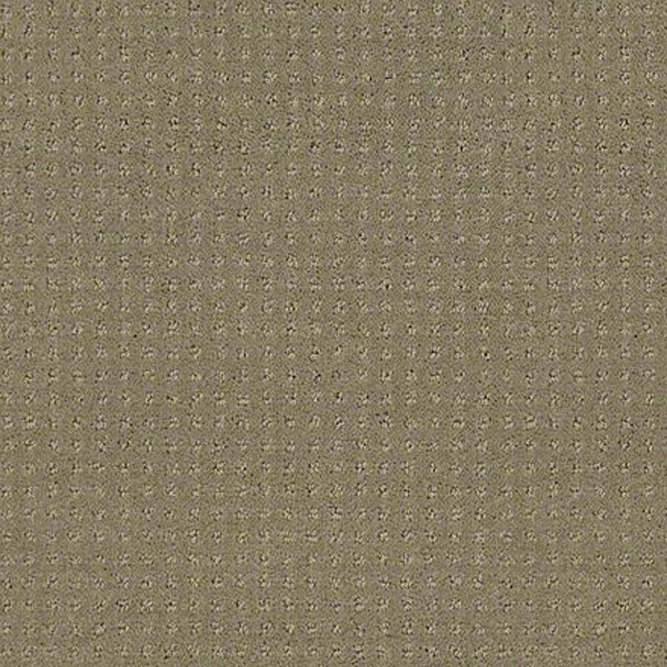 Shaw Floors Alluring Disposition Mocha SHAW