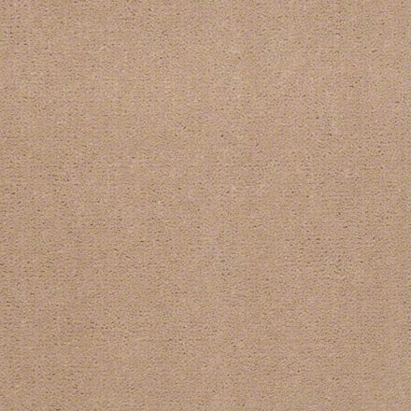 Philadelphia Commercial Registry 30 Tahoe Tan Shaw