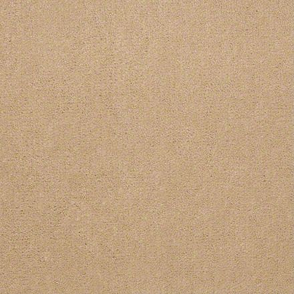 Philadelphia Commercial Registry 30 Bonneville Beige Shaw