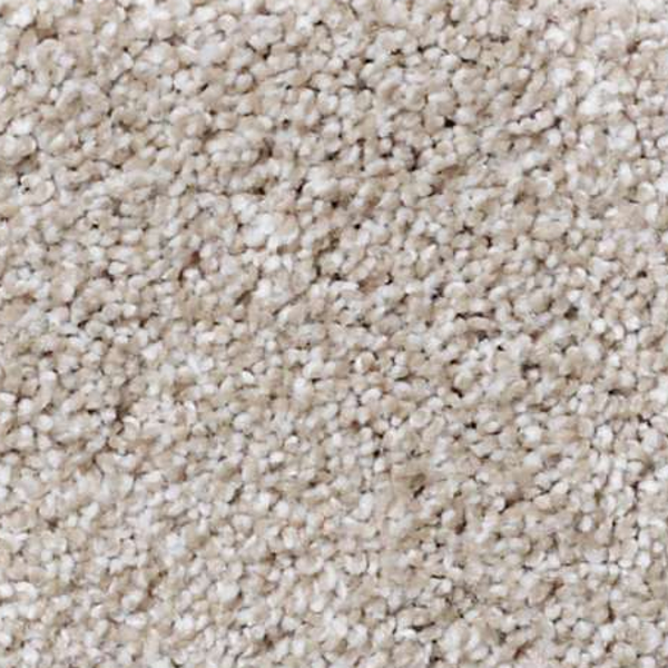 Shaw Floors Always Ready I Biscotti SHAW