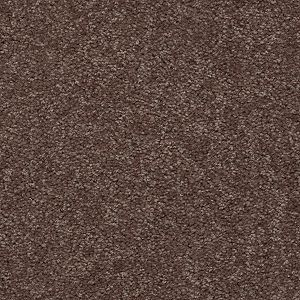 Shaw Floors Mission Statement II 12' Owl SHAW