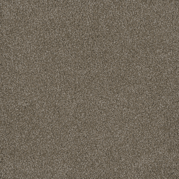 Dreamweaver Carpet Hammond Creek II Harber DREAMWEAVER