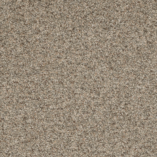 Dreamweaver Carpet Astounding I Wishing Well DREAMWEAVER