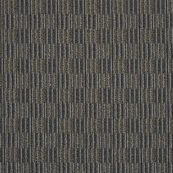 Philadelphia Commercial Unison In Concert Shaw