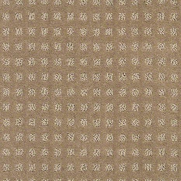 Shaw Floors Alluring Disposition Grounded SHAW