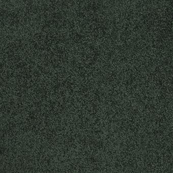 Masland Carpets Americana Ozark Masland