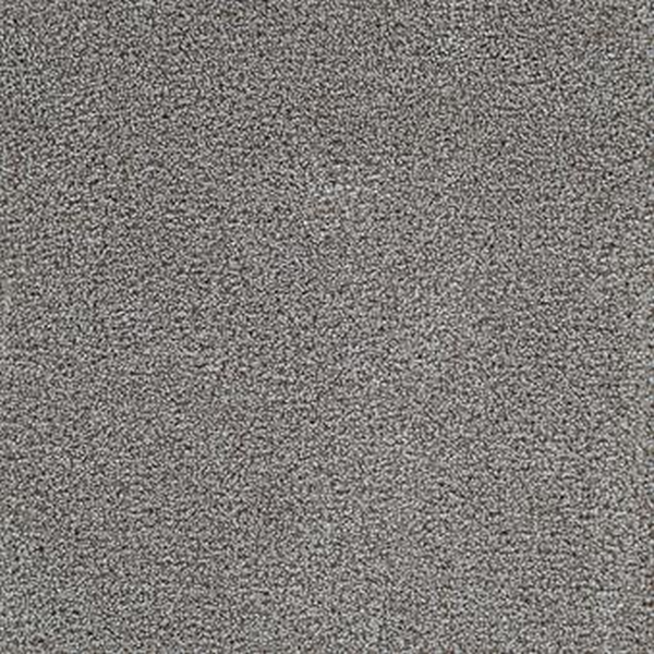 Masland Carpets Delray Sea Turtle Masland