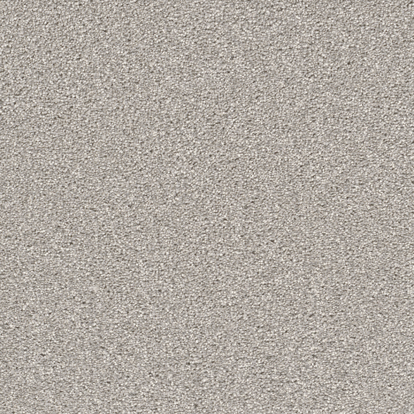 Dreamweaver Carpet Cape Cod Dove DREAMWEAVER