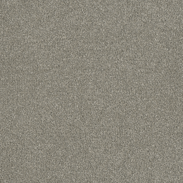 Dreamweaver Carpet Luxor II Dove DREAMWEAVER