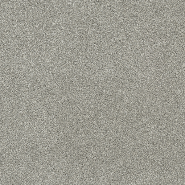 Dreamweaver Carpet Rock Solid II Dove DREAMWEAVER