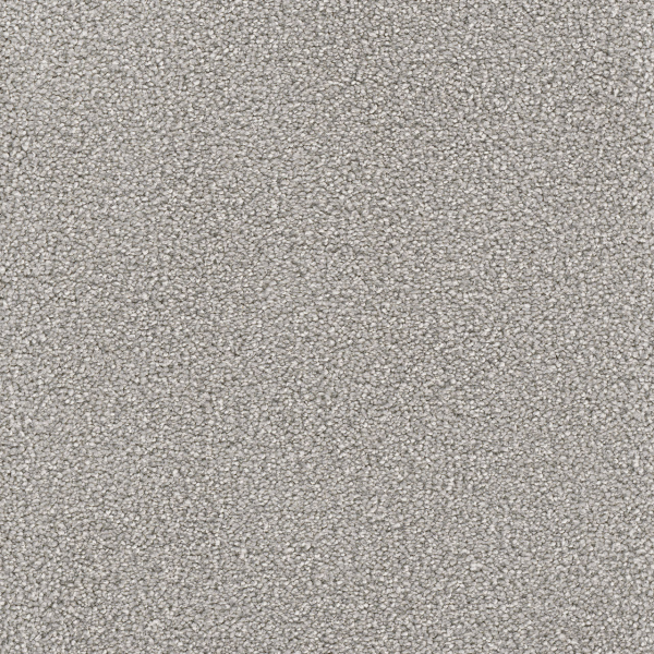 Dreamweaver Carpet Montauk Dove DREAMWEAVER