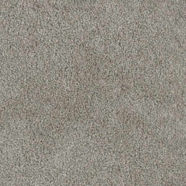 Dreamweaver Carpet Trendsetter I Dove DREAMWEAVER
