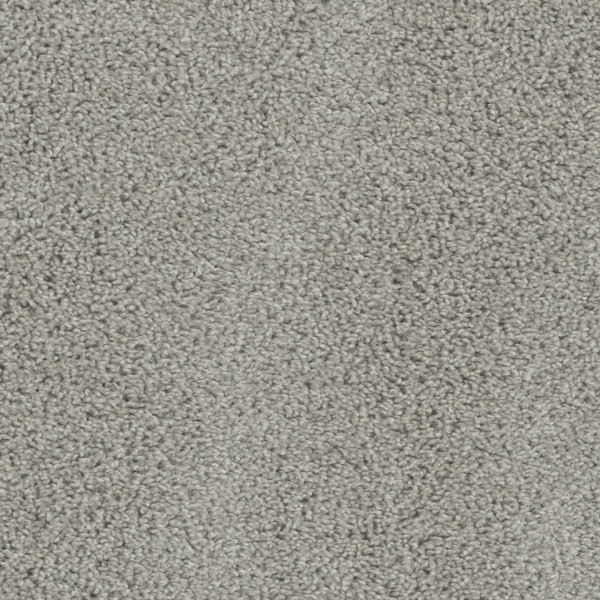 Dreamweaver Carpet Tracker Dove DREAMWEAVER