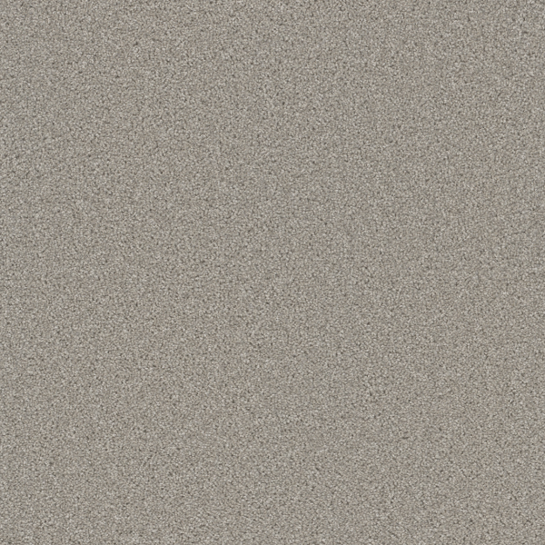 Dreamweaver Carpet Cedar Creek Silver Birch DREAMWEAVER