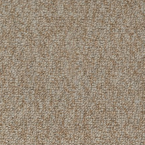 Mohawk Carpet Pristine Sensation Wrangler Mohawk